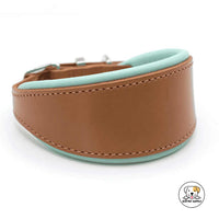 Eco Pet Supply Vegan Leather Genuine Leather Dog Collar With Comfort Lining