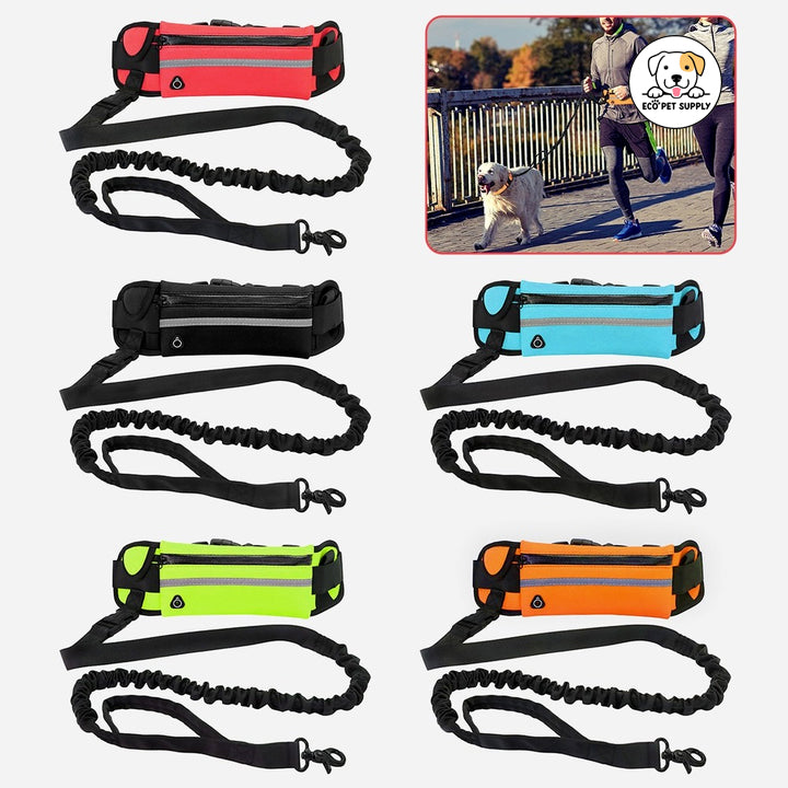 Eco Pet Supply Hands-Free Dog Leash for Running – Adjustable Reflective Waist Belt with Bungee Cord for Jogging, Hiking, and Walking