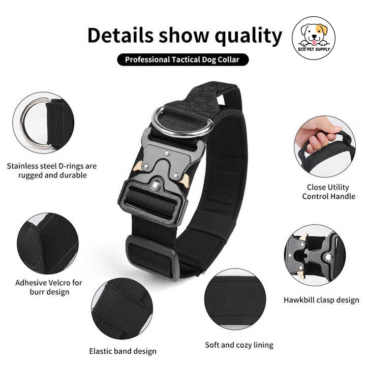 Eco Pet Supply Buckles Stylish Dog Collar