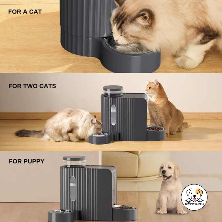 Eco Pet Supply Large Capacity Automatic Gravity Cat Feeder