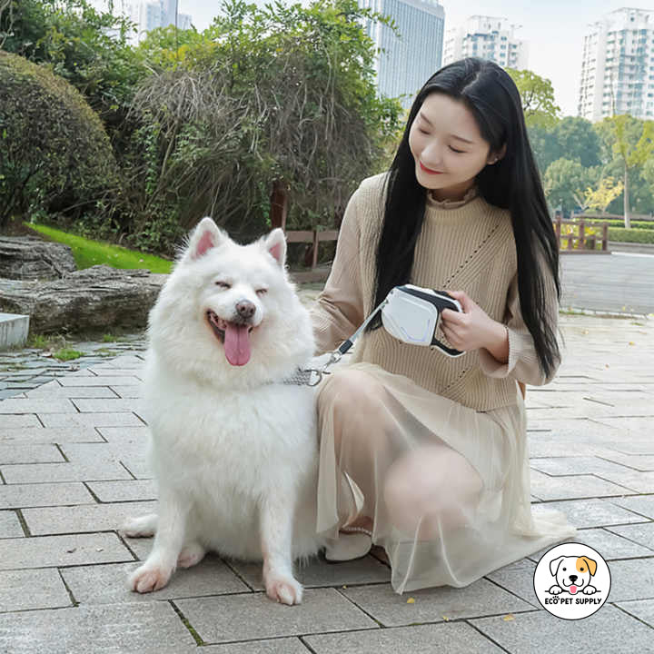 Eco Pet Supply LED Automatic Retractable Pet Leash – 3M/5M Lengths, Built-in Flashlight, LED Light Strip, Reflective Tape, Ergonomic Handle