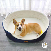Eco Pet Supply Pet Bed – Ultimate Comfort & Stylish Design for Your Furry Friend