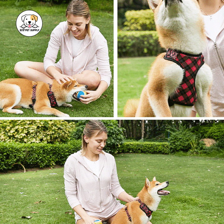 Eco Pet Supply baby Dog Harness Leash Set blue