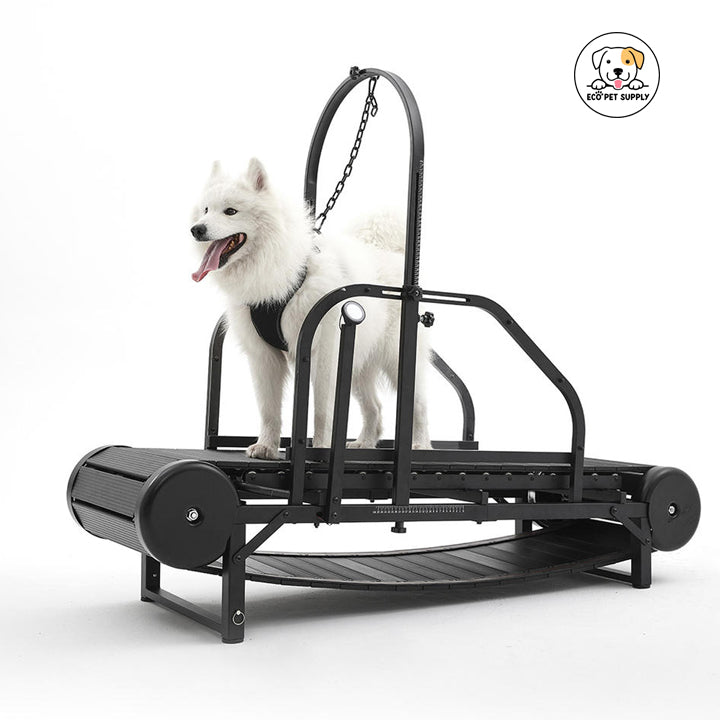 Eco Pet Supply Pet Dog Treadmill
