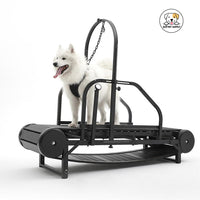 Eco Pet Supply Pet Dog Treadmill