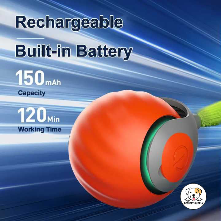 Eco Pet Supply Automatic Moving Ball Puzzle