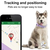 Eco Pet Supply Adjustable Heavy‑Duty Air Tag PVC Collar