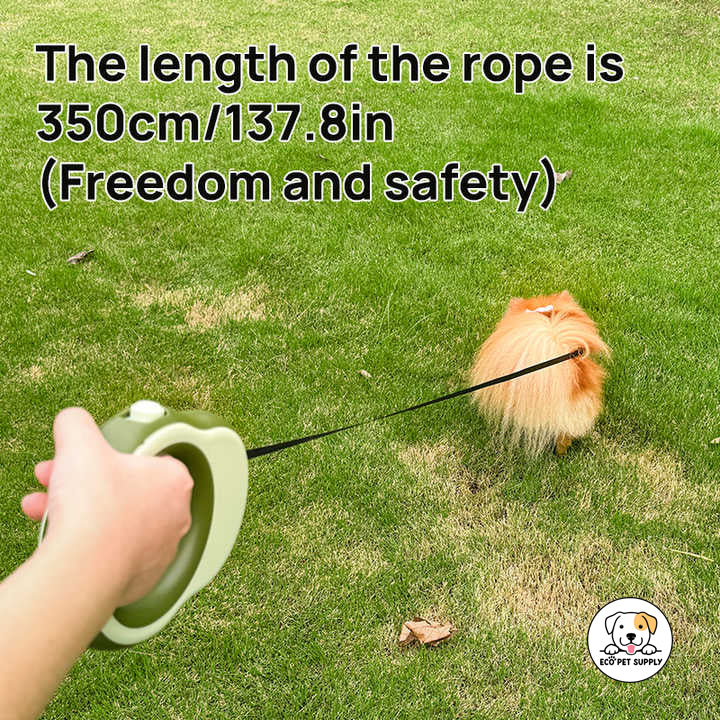 Eco Pet Supply LED Dog Leash – Light-Up Night Walking Essential