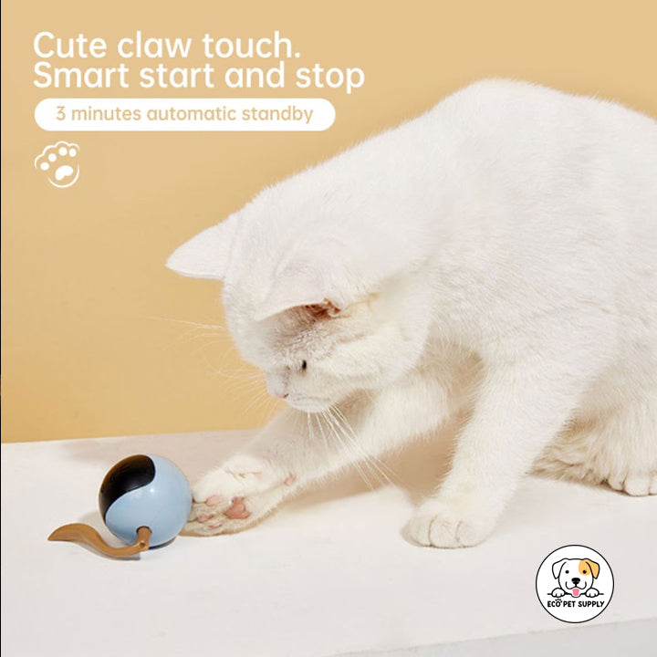 Eco Pet Supply Interactive Self-Rotating Ball
