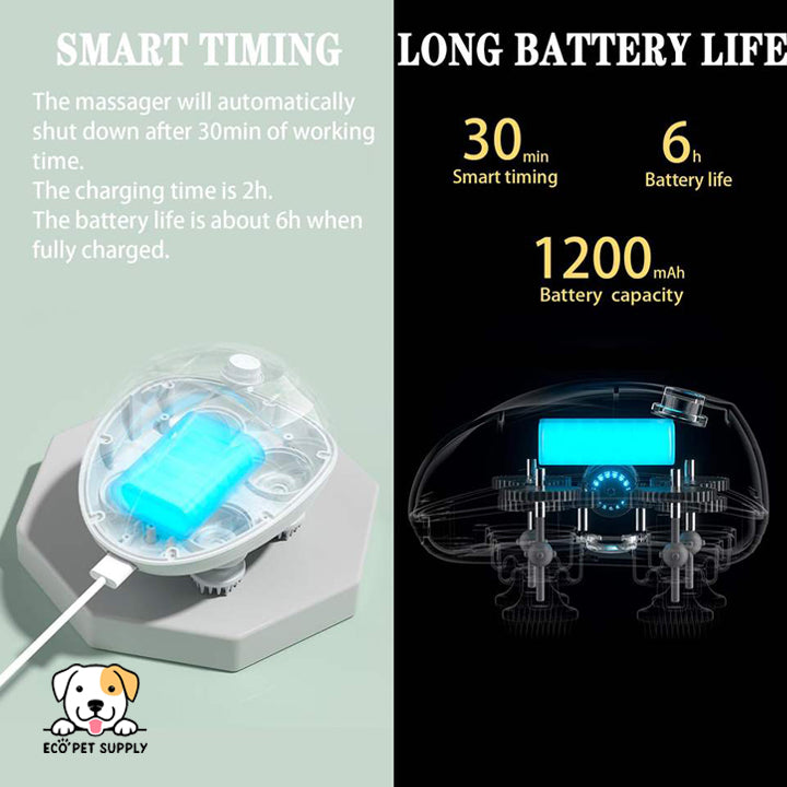 Eco Pet Supply Pet Dog Grooming Comb Rechargeable Massage